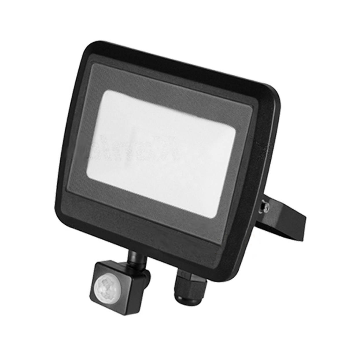 30W Outdoor LED Flood Light (w/ IR Sensor)