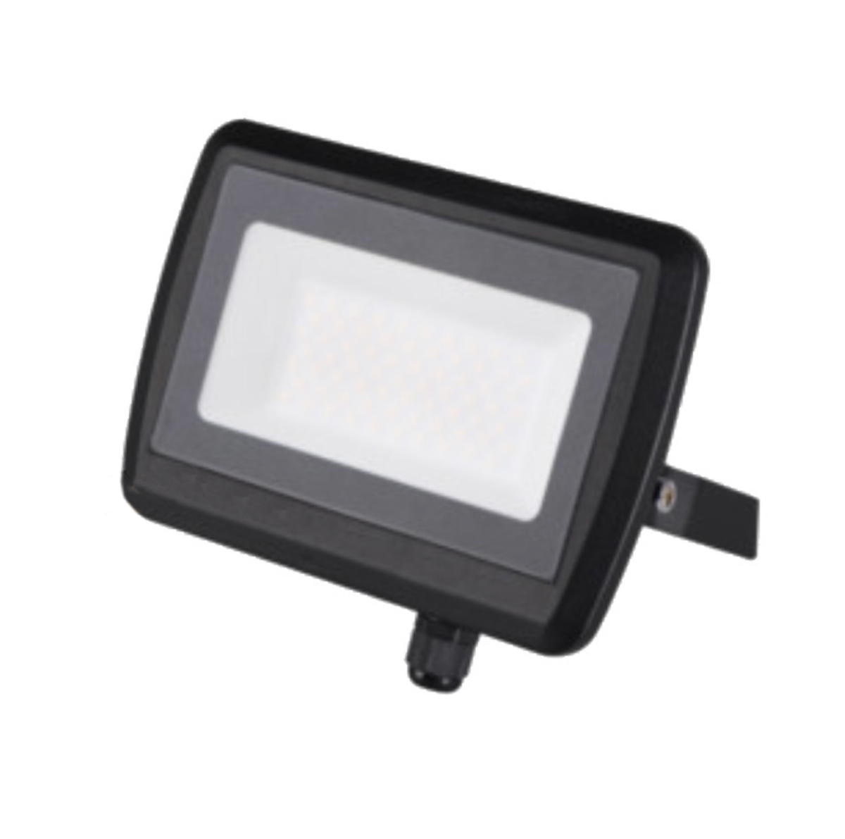 50W Outdoor LED Flood Light