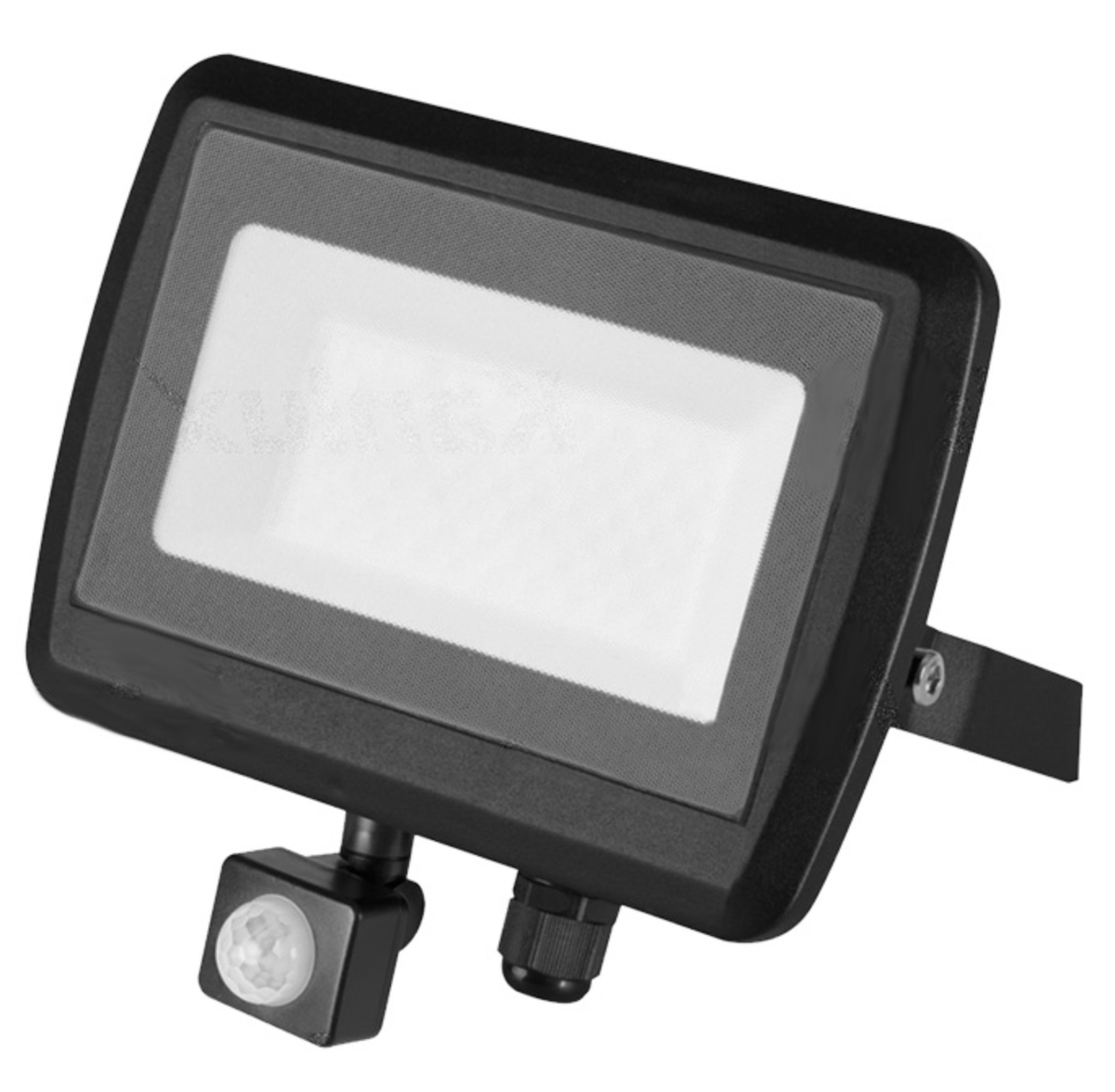 50W Outdoor LED Flood Light (w/ Motion Sensor)