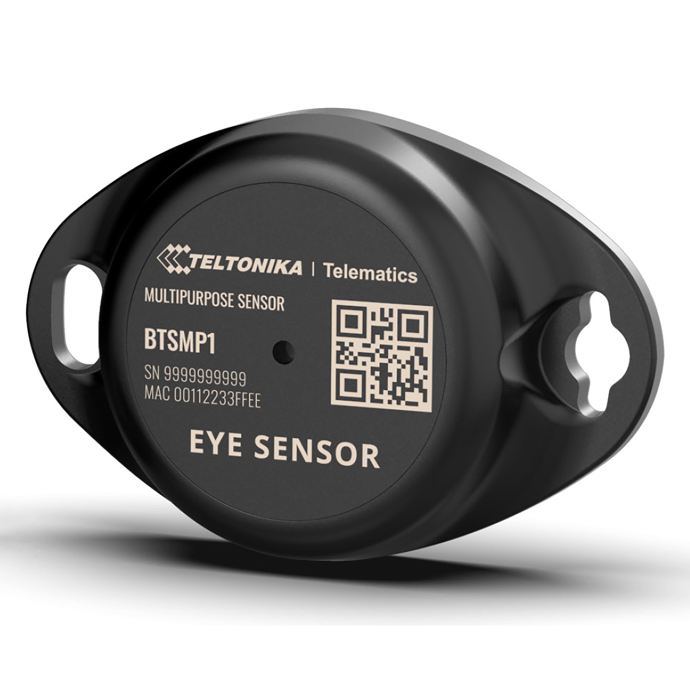 Teltonika EYE SENSOR – CTS Systems