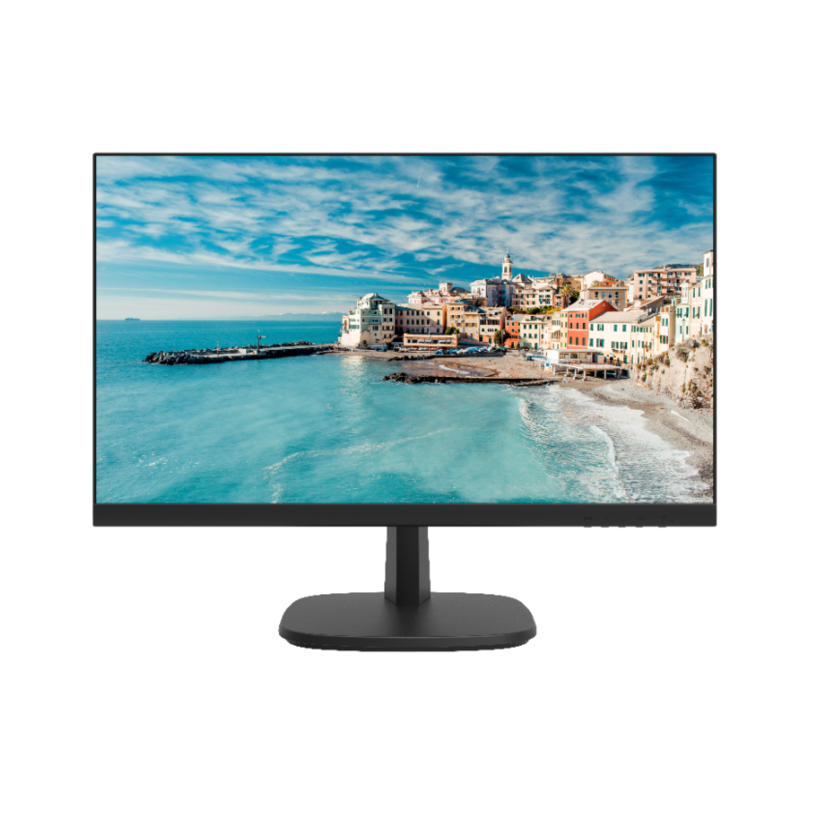 Hikvision DS-D5024FN 24" 1080P Monitor